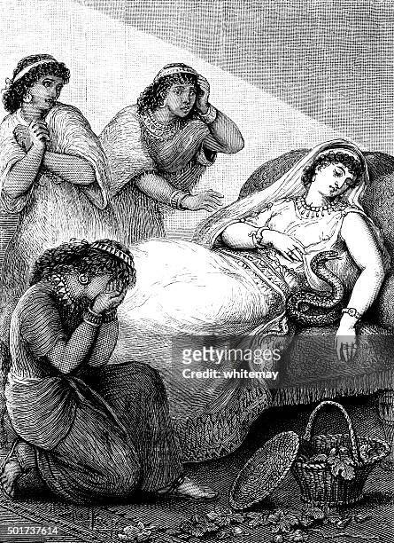 the death of cleopatra - vipera aspis stock illustrations