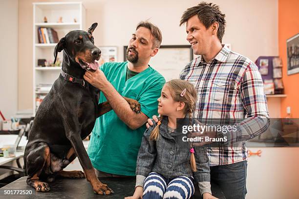 family brought their pet to medical exam at veterinarian's. - white doberman pinscher stock pictures, royalty-free photos & images