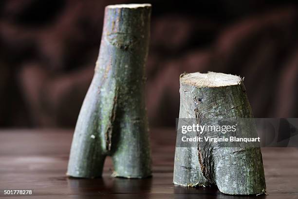 Human Tree Shape Tree Branches Shaped As Human Body Parts High-Res Stock Photo - Getty ...