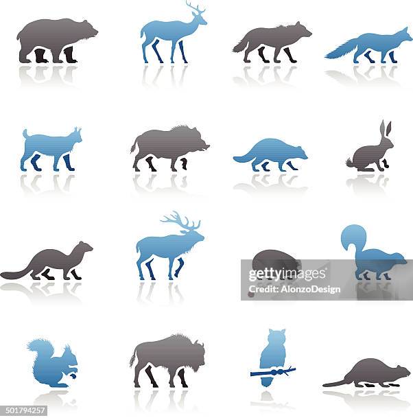 wild animals icon set - beaver isolated stock illustrations