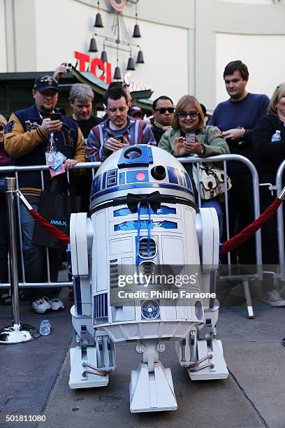 Andrew Ritter Photos and Premium High Res Pictures - Getty Images