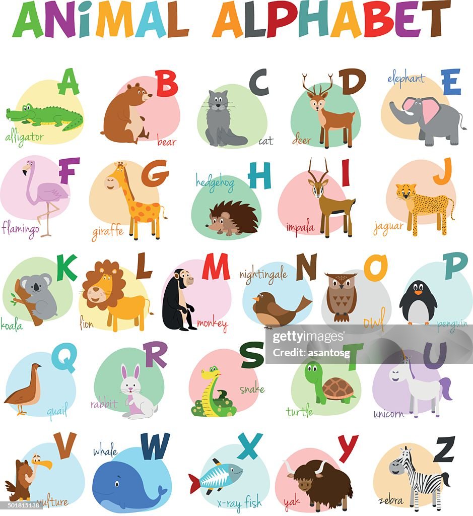 Cute Cartoon Zoo Illustrated Alphabet With Funny Animals English Alphabet  High-Res Vector Graphic - Getty Images