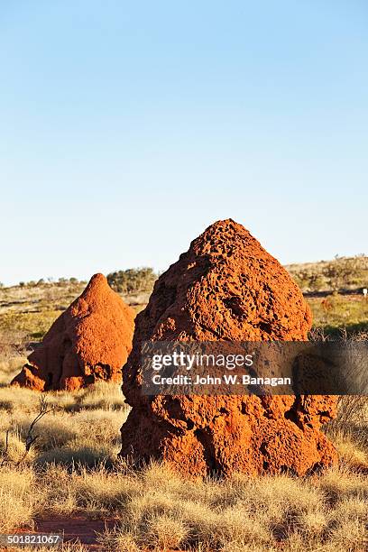 termite mounds, western australia - termite mound stock pictures, royalty-free photos & images