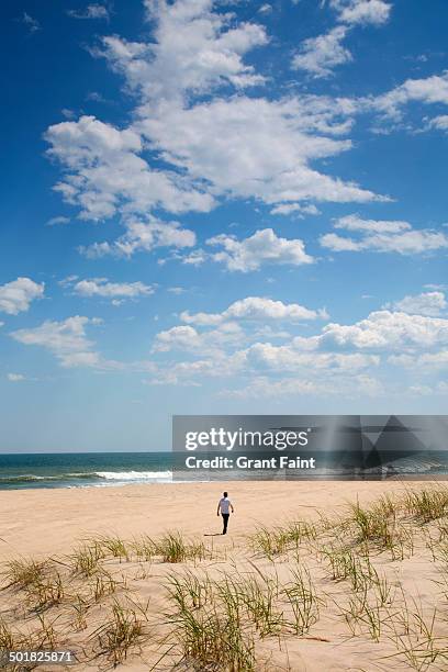 view of long island beach - the hamptons stock pictures, royalty-free photos & images