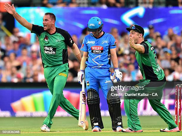 John Hastings of the Melbourne Stars reacts after taking the wicket of Travis Head of the Adelaide Strikers during the Big Bash League match between...