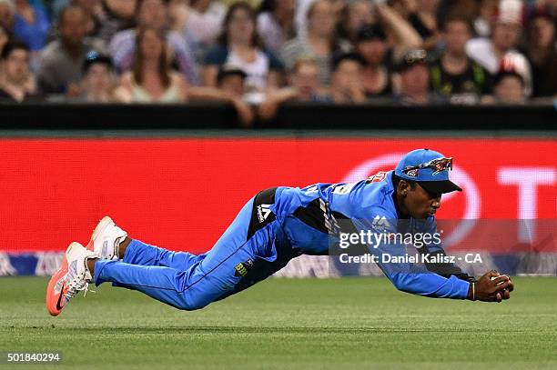 Mahela Jayawardena of the Strikers takes a catch to dismiss David Hussey of the Melbourne Stars during the Big Bash League match between the Adelaide...