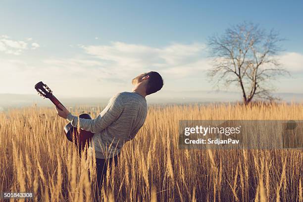 living a dream - blues music stock pictures, royalty-free photos & images