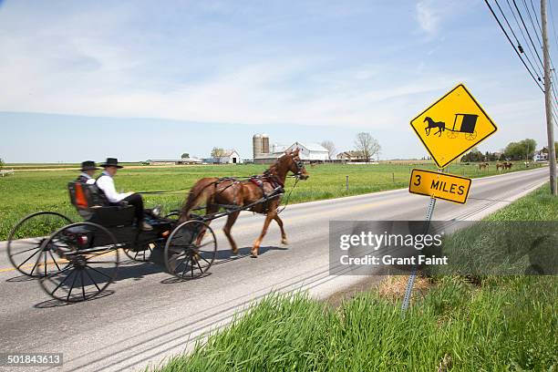 amish horse and buggy - condado de lancaster pensilvania fotografías e imágenes de stock