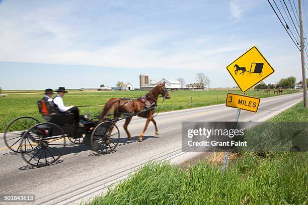 amish horse and buggy - amish horse and buggy imagens e fotografias de stock