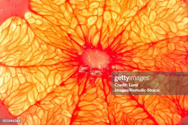 Pulp In Orange 13 Orange Fruit Pulp Close Up Germany Stock Photos, High-Res Pictures ...