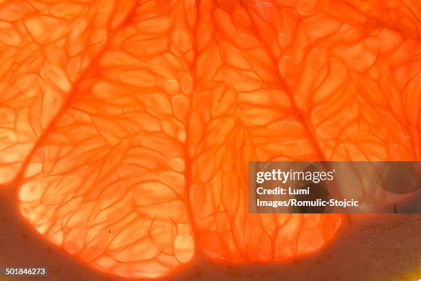Pulp In Orange 13 Orange Fruit Pulp Close Up Germany Stock Photos, High-Res Pictures ...