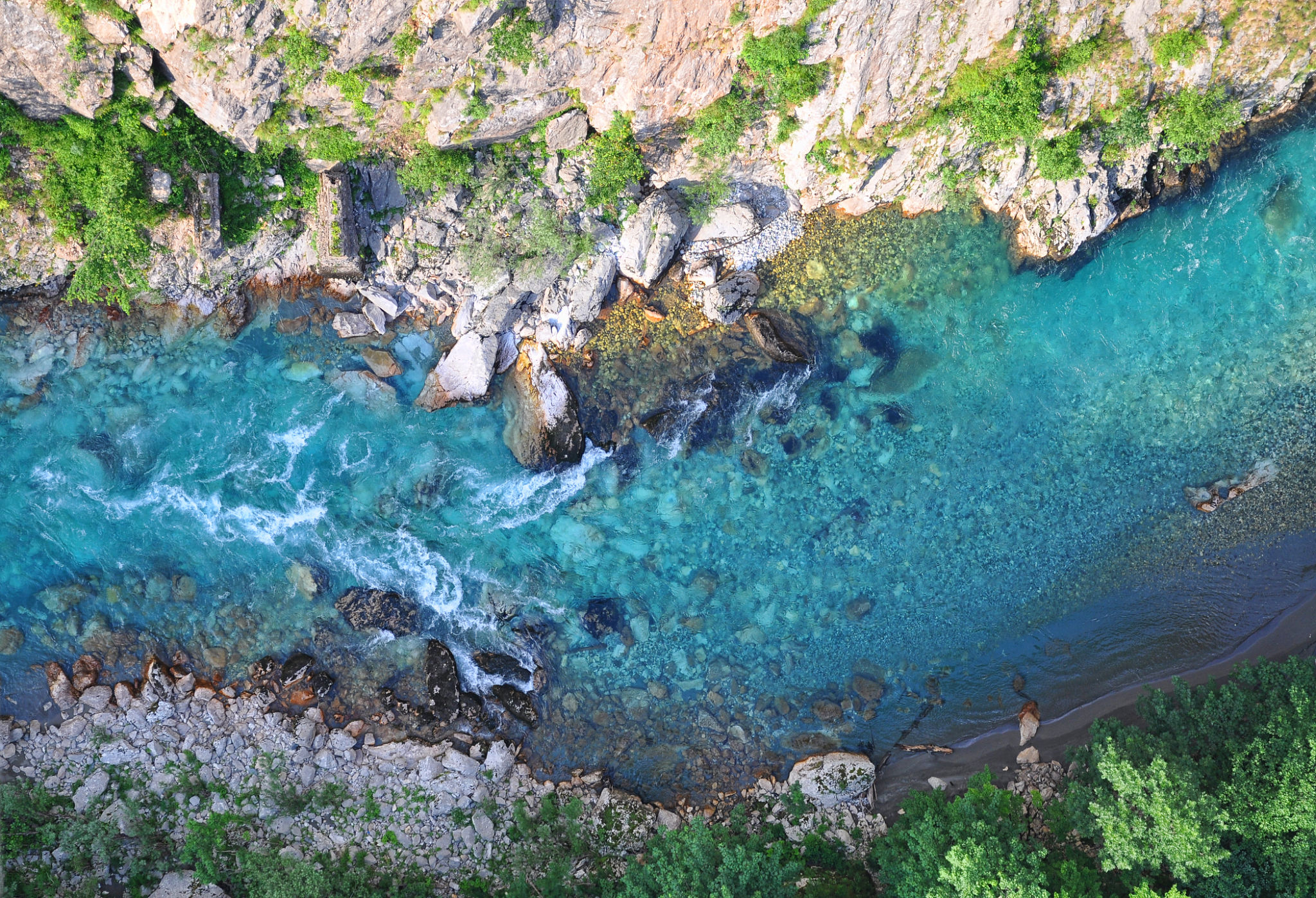 tara river