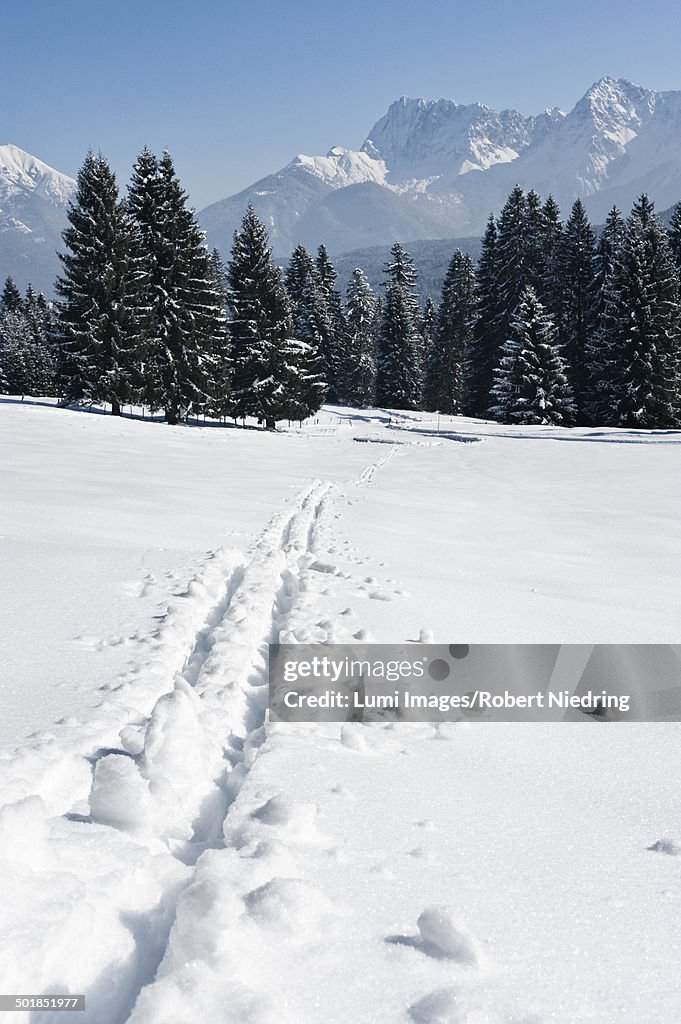 Old ski tracks in winter landscape, Garmisch, Bavaria, Germany