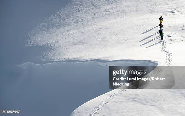 backcountry skiers on the move, alpbachtal, tyrol, austria, europe - off piste stock pictures, royalty-free photos & images