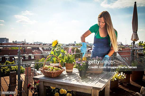 munich, bavaria, germany, europe - flower boxes stock pictures, royalty-free photos & images