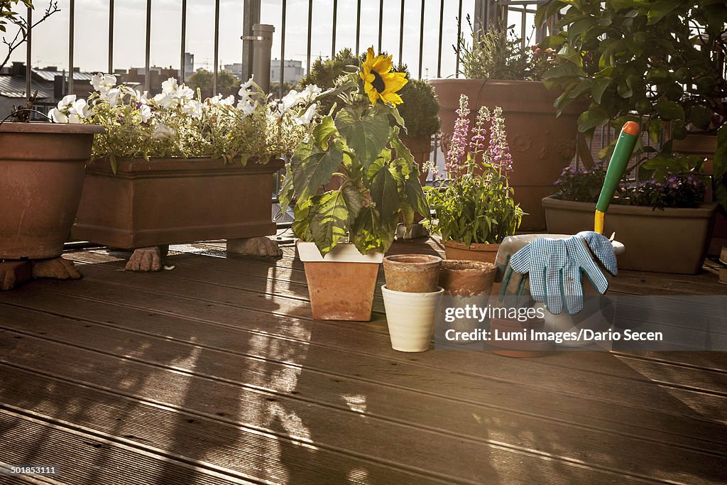 Flower Pots And Garden Tools On Balcony, Munich, Bavaria, Germany, Europe