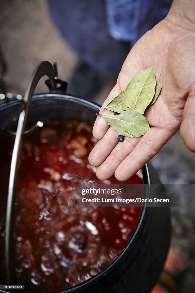 Cooking Goulash Stew