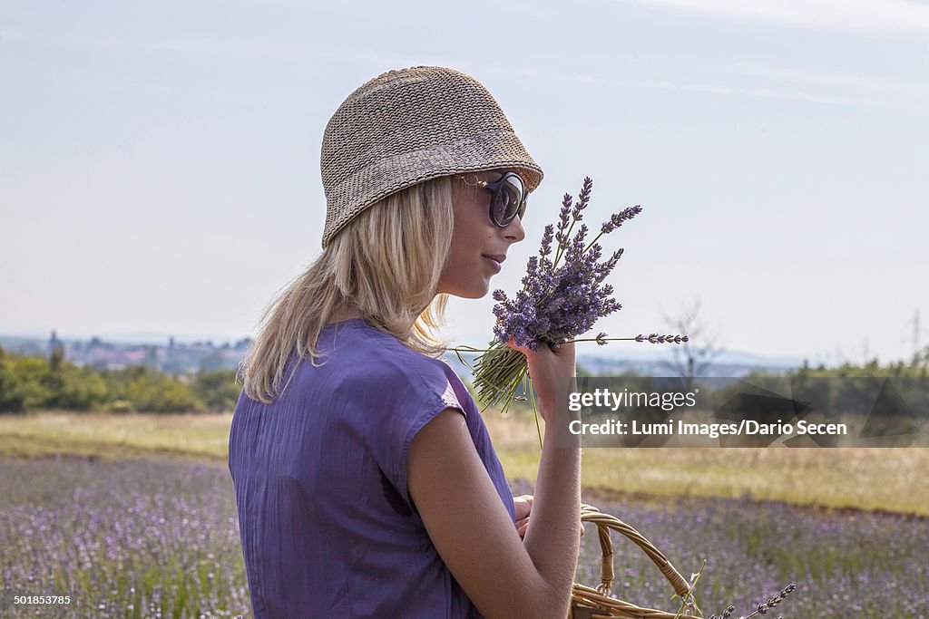 Young Woman Holding Bunch Of Lavender in Hands, Croatia, Dalmatia, Europe