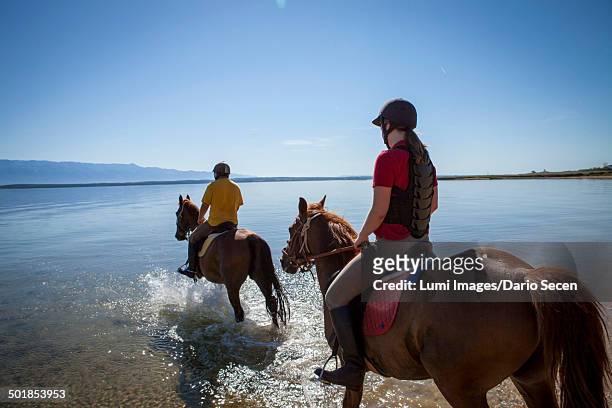 horse riding in the sea, croatia, dalmatia, europe - recreational horseback riding stock pictures, royalty-free photos & images