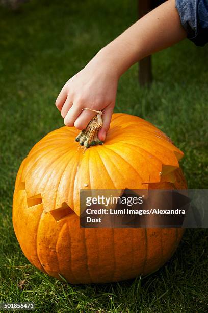 pumpkin lantern - alexandra dost stock-fotos und bilder
