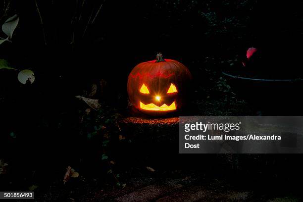 pumpkin lantern, jack o'lantern at night - alexandra dost stock-fotos und bilder