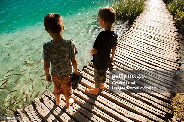 two boys standing on timber boardwalk, plitvice lakes, croatia - plitvice lakes national park stock pictures, royalty-free photos & images