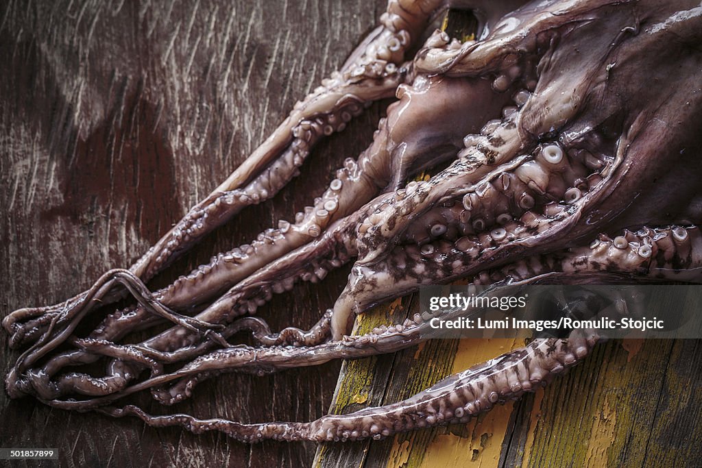 Octopus on Wooden Table