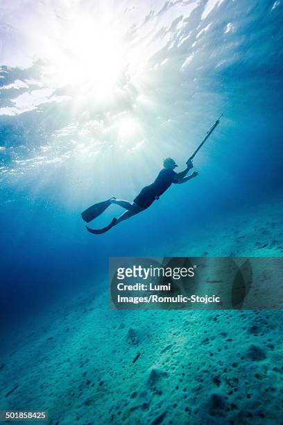 man with harpoon, adriatic sea, dalmatia, croatia - man spear fishing stock pictures, royalty-free photos & images