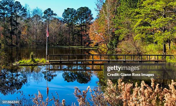 flag on display - columbia south carolina stockfoto's en -beelden