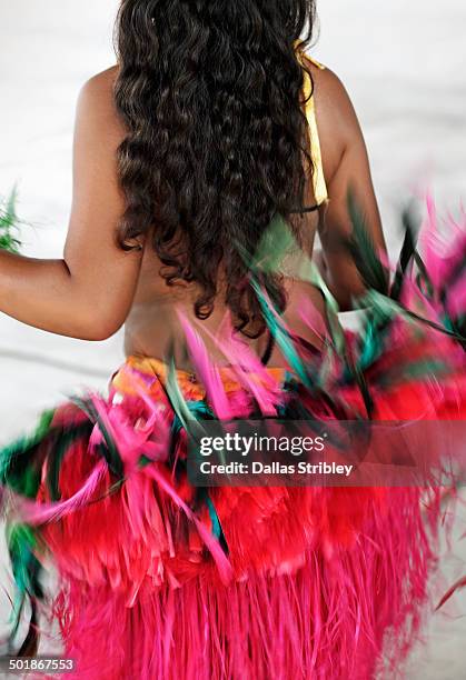 young cook island dancers in traditional costume - rarotonga stock pictures, royalty-free photos & images