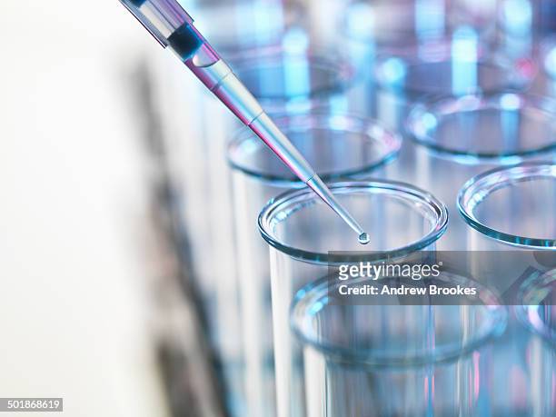 pipette adding sample to a test tube in a laboratory - test tube stock pictures, royalty-free photos & images