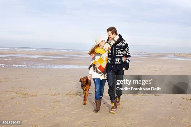 mid adult couple and dog strolling on beach, bloemendaal aan zee, netherlands - romantic couple walking winter beach stock pictures, royalty-free photos & images