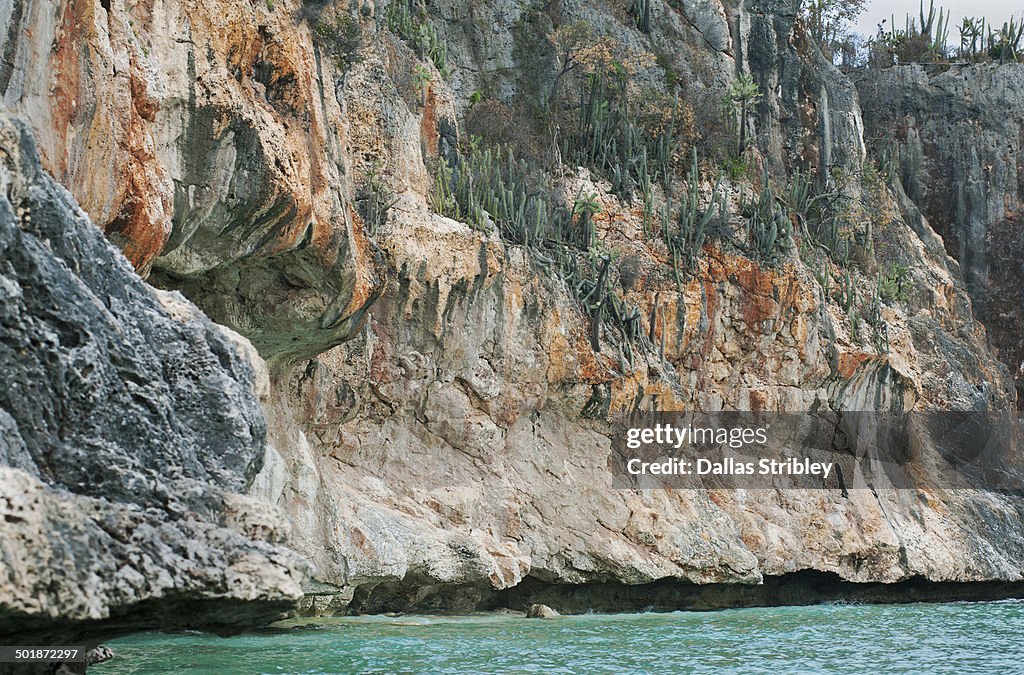 Cactus-covered cliffs at Bahia de las Aguilas