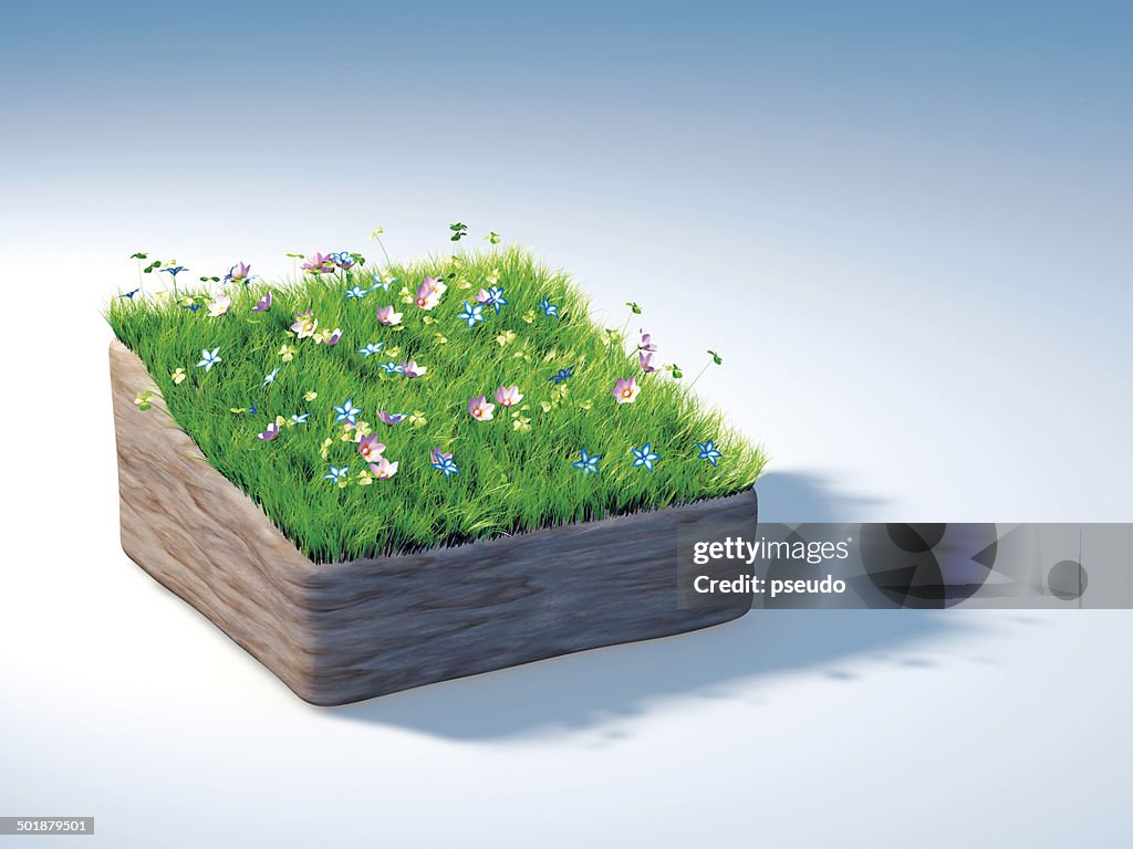 Piece of land with a flowering meadow, illustration