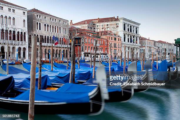 gondolas on the grand canal, canal grande, in the morning, venice, venezien, italy - venezien photos et images de collection