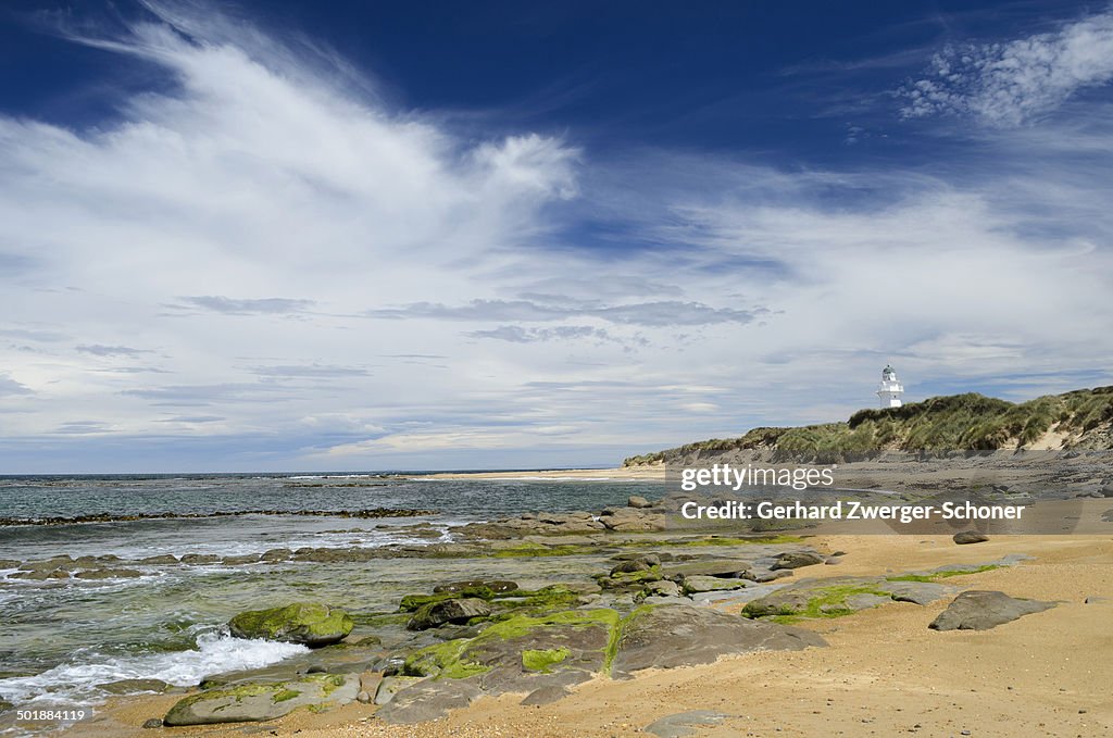 Lighthouse at Waipapa Point with clouds in the sky, sandy beach with algae covered rocks at the front, Otara, Fortrose, Southland Region, South Island, New Zealand