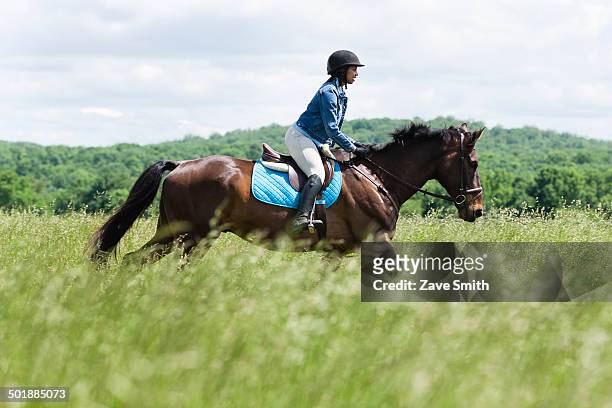 horse rider on horse - black horse stockfoto's en -beelden
