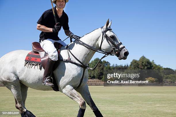 mid adult man playing polo - polo field stock pictures, royalty-free photos & images