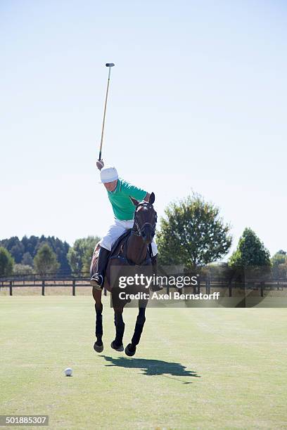 mature man playing polo - polo stock pictures, royalty-free photos & images