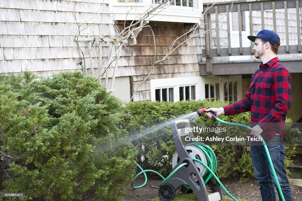 Mid adult man watering plants with hosepipe in garden