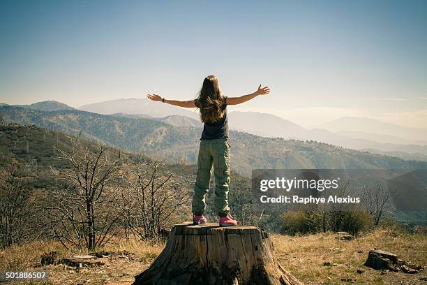 rear view of mid adult woman on tree trunk with open arms, lake arrowhead, california, usa - arms open foto e immagini stock