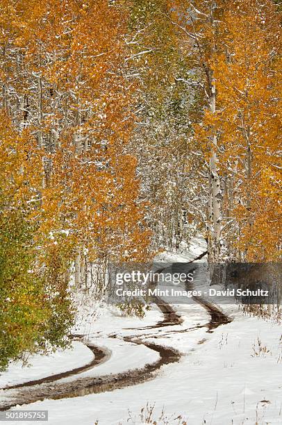 Uinta Cook 136 Uinta Range Stock Photos, High-Res Pictures, and Images - Getty Images