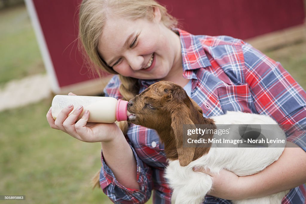 A girl bottle-feeding a baby goat.