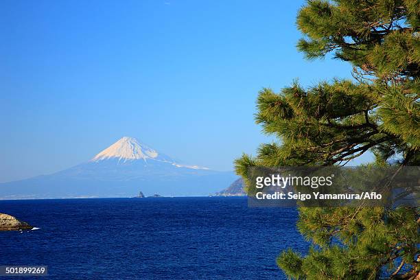 view of mount fuji, shizuoka prefecture, japan - suruga bay stock pictures, royalty-free photos & images