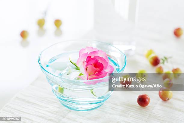 rose and fruits in water glasses - raspberry sorbet stock pictures, royalty-free photos & images