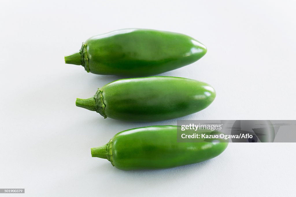 Green Pepper