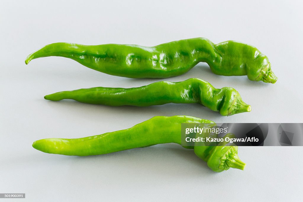 Green Pepper