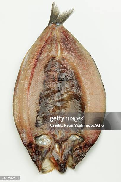 pacific herring - pacific herring stock pictures, royalty-free photos & images