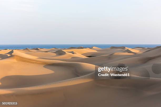 spain, canary islands, gran canaria, sand dunes of maspalomas - maspalomas imagens e fotografias de stock