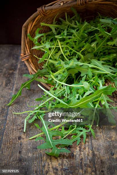 basket of rocket salad on wooden table - rucola stock-fotos und bilder